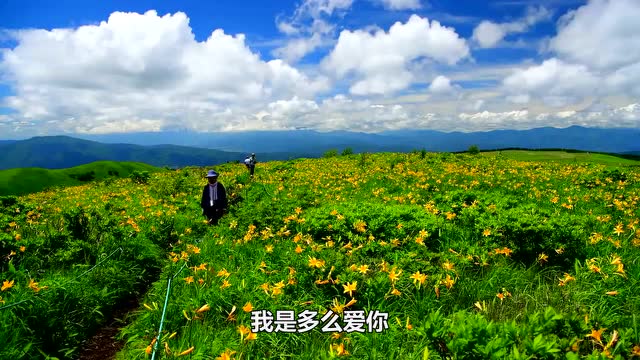 辽宁k歌大赛1700号孟硕《心上的罗加》