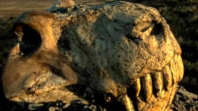 地球史上第三次生物大灭绝到底有多可怕?