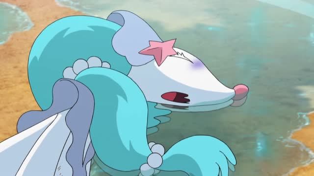 精灵宝可梦:古兹马竟然说水莲是杂鱼,真是太过分了!
