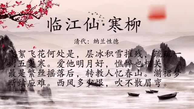 古诗朗诵:纳兰性德《临江仙·寒柳》