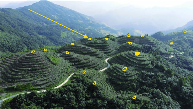 实拍"众星捧月"的风水宝地,山包罗列,犹如"龙身带印",少见的地形!