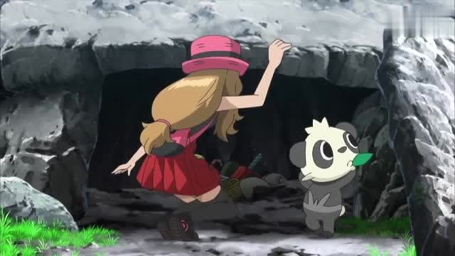 精灵宝可梦:顽皮熊猫一见莎莉娜就跑掉了,这是怎么了?