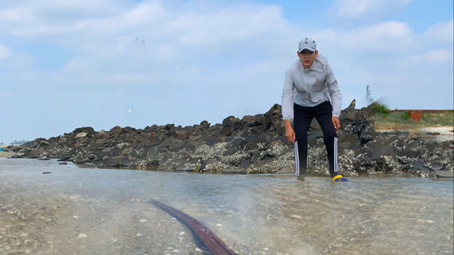 阿聪赶海遇罕见一幕,海鳗生吞1米"海龙",场面相当刺激