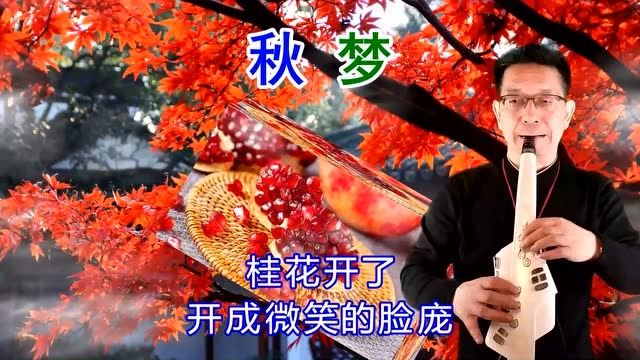 电吹管演奏云菲菲演唱的《秋梦》