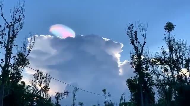 一位网友无比幸运拍到了一片彩色荚状云,看起来也太梦幻了吧!
