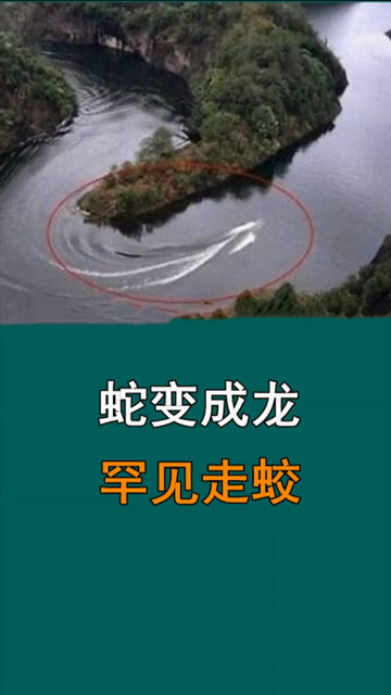 传说蛇五百年成蛟,一千年方能成龙