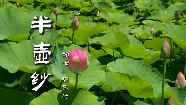 极品古风歌曲《半壶纱》,意境美美,禅意深深!