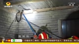 “我的地盘我做主！”屋里进了一条眼镜王蛇 家猫与之大战护主人平安！