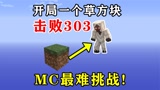 我的世界：最难挑战！开局一个草方块打败303？