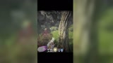 永劫无间 xswl 这就是独狼们的默契吗