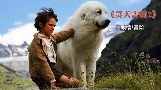 灵犬雪莉2冒险再出发