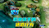 王者荣耀寒夜：职业选手的迷惑行为，盾山到底在干啥？？