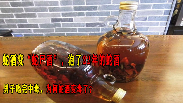 蛇酒变蛇尸酒,泡了22年的蛇酒,男子喝完中毒,为何蛇酒变毒了?