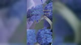 王者荣耀：你还放大，怎么敢的