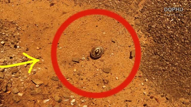 20 种nasa在火星拍摄到的神秘生物