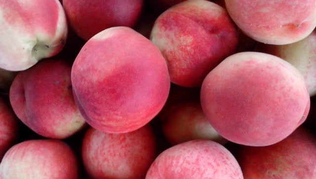 小毛桃的功效与作用_毛桃核的功效与作用_榴莲核煮水的功效与作用