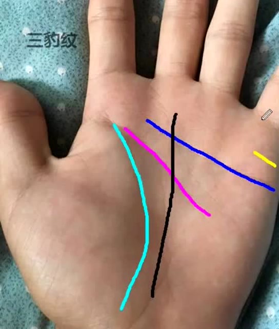 掌纹有三豹纹人,不论男女,千万家产,富得流油手相