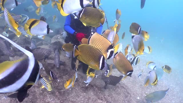 ~泺^.^泺~的个人频道