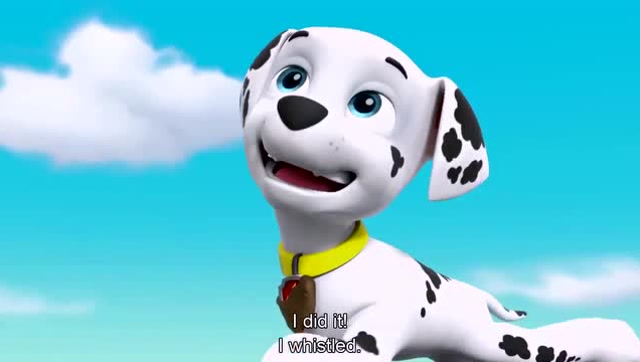 汪汪队立大功,小动物们为孩子们保存了一幅飞行猫咪