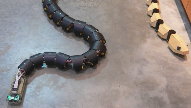 蛇形管道机器人图片