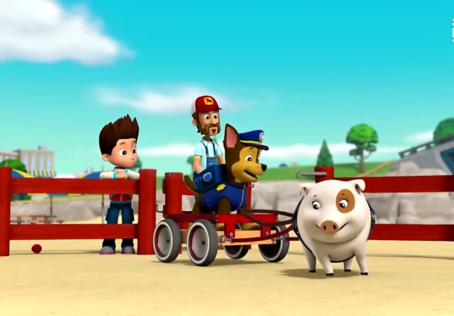 汪汪队立大功:调皮捣蛋的小猫咪大队