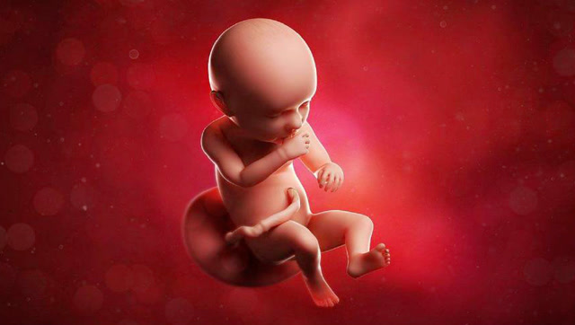 孕二十七周胎儿真实图图片