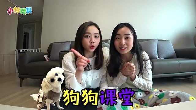 小伶玩具超萌狗狗coco的训练学堂开课啦