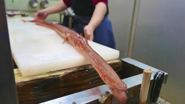 日本大厨分割一米长马鞭鱼,做豪华刺身船