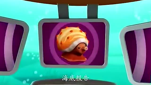 海底小纵队:了解到鸡心螺,大家是不是想吃海螺呢