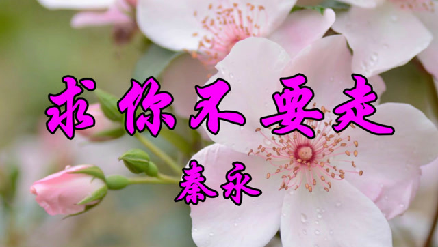 秦永一首经典老歌《求你不要走》伤感极了