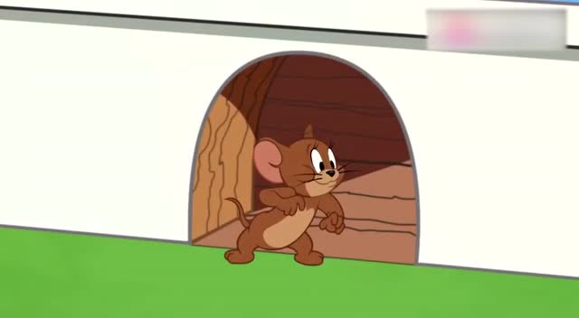 新猫和老鼠:可爱喵的魅力连老鼠都受不了,邀请她进老鼠洞玩