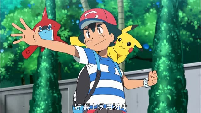 精灵宝可梦:这次的对战小智想派木木枭上场!