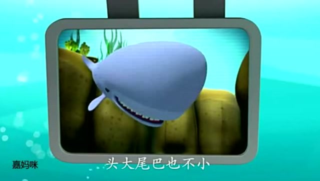 海底小纵队之海底报告:深海抹香鲸