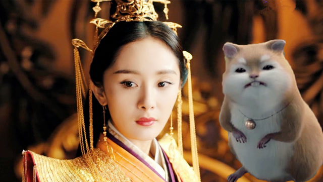 扶摇:元宝的真实身份曝光,原来比扶摇还高贵,无极惊讶:不敢相信