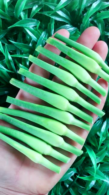 生活小窍门:蒜苔根别再扔了,原来蒜苔根还有这种妙用