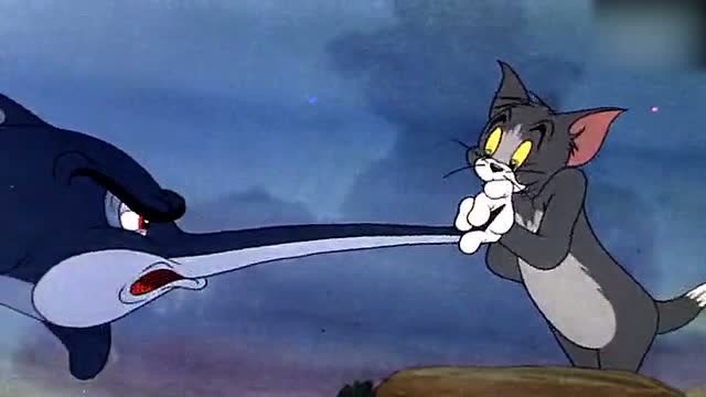 猫和老鼠:海底新乐园,汤姆在海底捉弄杰瑞,被鲨鱼狂追