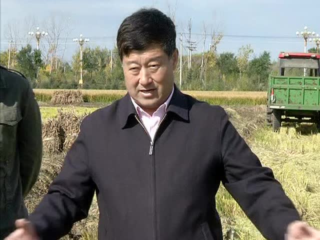 10.8兴凯湖农场新闻