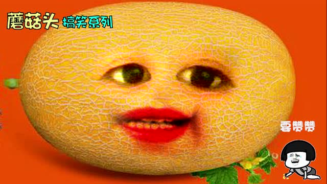 哈密瓜唱了一首歌