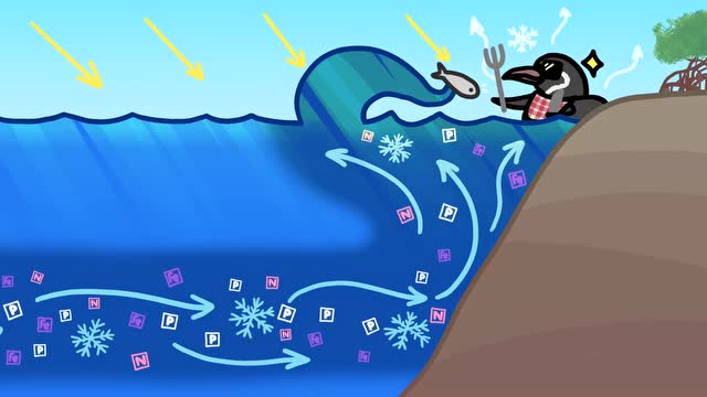 为什么赤道上也会有企鹅?