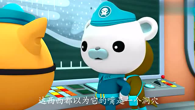 海底小纵队:鲸鲨真的是太大了才让达西西认为那是洞穴