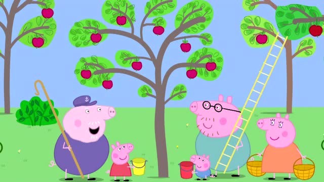 今年猪爷爷的苹果园大丰收,佩奇一家前来帮忙采摘