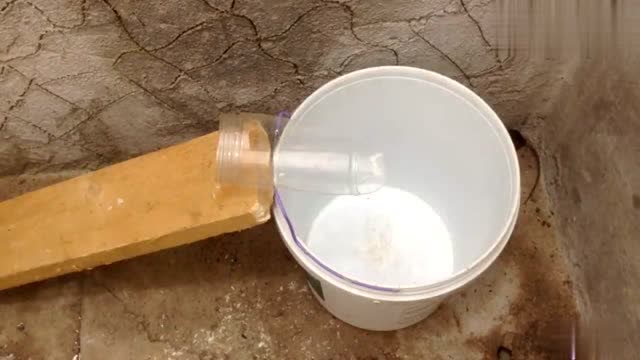 自制捕鼠神器,成功将老鼠引入水桶中,你学会了吗?