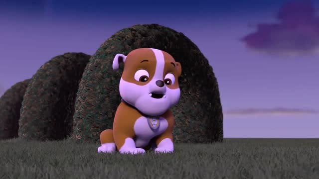 汪汪队立大功第4季:小丽,你是最会玩捉迷藏的狗狗