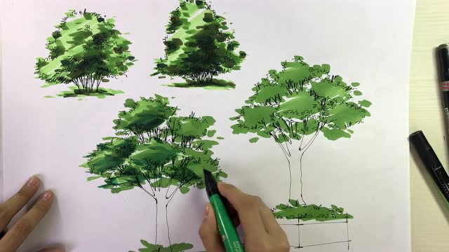 灌木丛马克笔手绘图片