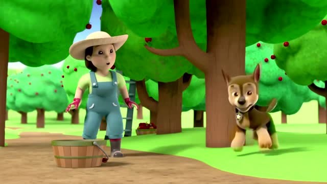 汪汪队立大功:毛毛想帮助农夫尤美摘苹果结果咬到树枝