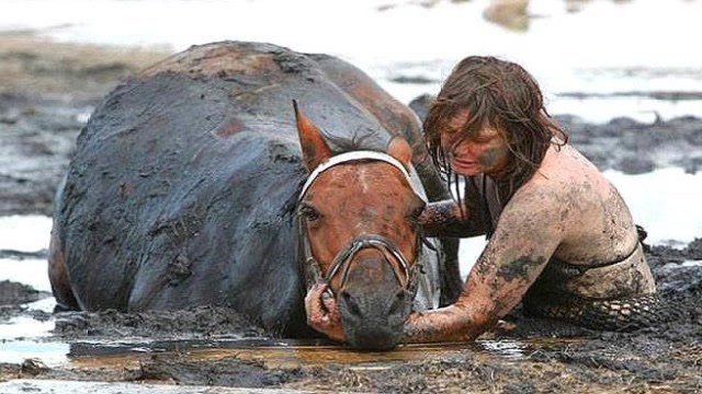 美女骑马不慎陷入沼泽女主人不离不弃感动了众人