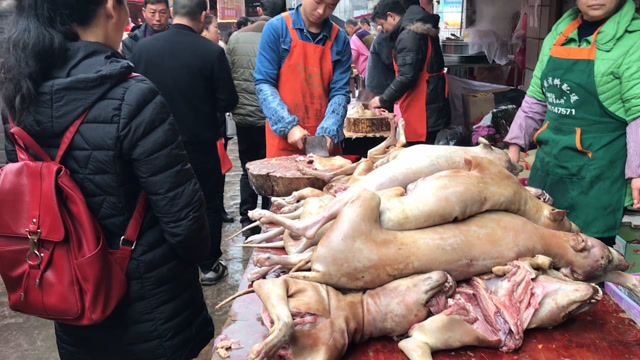 平坦!冬至吃狗肉的来历"迫不及待"-第2张图片-马睿网