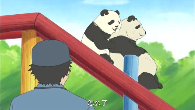 白熊咖啡厅:专职熊猫滑滑梯,结果肚子卡住了