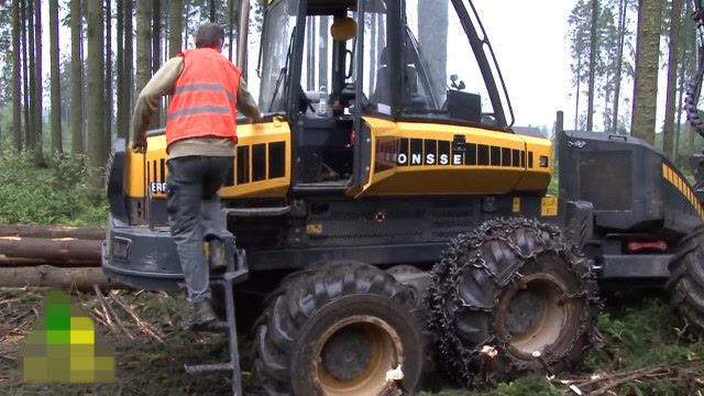 有了这台伐木机器,砍树的这个效率也太高了吧