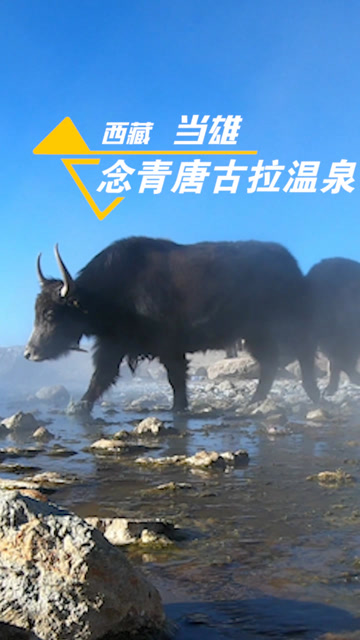 念青唐古拉山脉羊八井温泉是西藏当雄所独有的冰火两重天